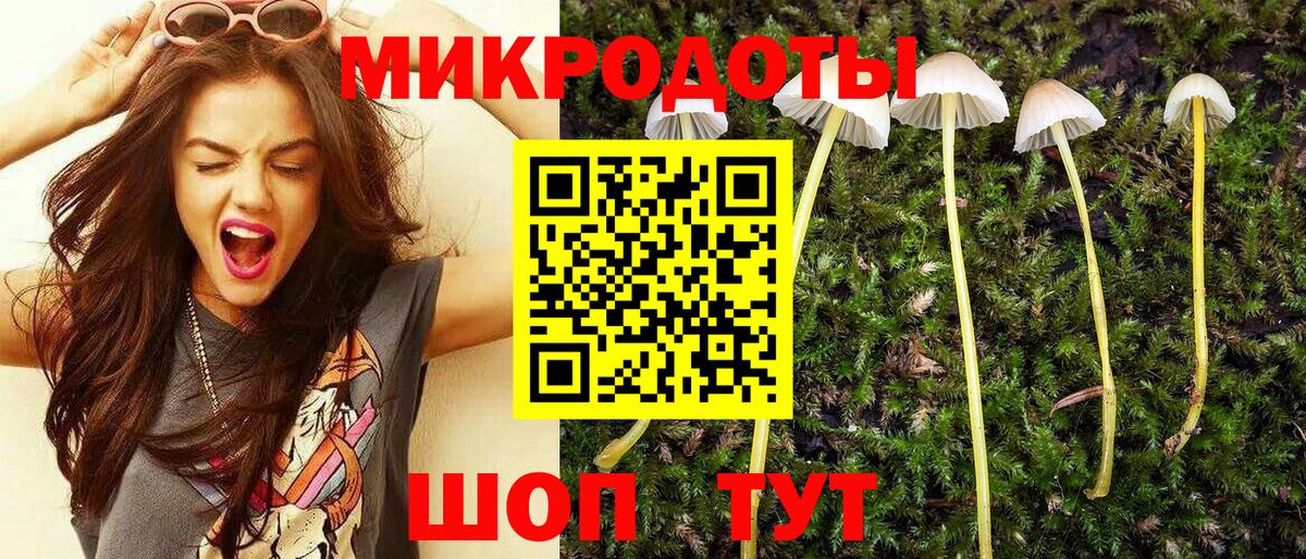 Псилоцибиновые грибы Psilocybe  наркошоп  Камень-на-Оби  Вход с VPN 